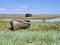 Old crab boat, decaying, rusting, rotten. Brancaster Staithe on the North Norfolk Coast.