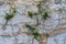 Old cracked parget plaster on a painted blue medieval wall of a house in Lefkara heritage village on Cyprus