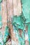 Old cracked peeled turquoise paint detail from wooden door, table, board as a vintage texture background