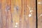 Old cracked wood splattered with paint background