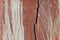 Old cracked wood texture