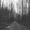 Old creepy road.