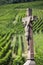 Old Cross in the Vineyard, France