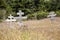 Old crosses at the historic orthodox cemetery of Fort Ross