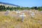 Old crosses at the historic orthodox cemetery of Fort Ross