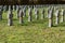 Old crosses made of stone an a military cemetery