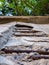 Old crumbling concrete wall with exposed and rusty iron reinforcement - Low angle view reveals dense foliage overhanging top of