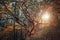 Old curved tree on autumn forest glade