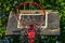 Old and damaged basketball hoop with cage,tree and house in the