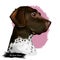 Old Danish pointer dog with spots on short fur isolated digital art. Pet originated from Denmark Scandinavian puppy