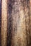 Old dark wood texture, vintage natural oak background with wood\'