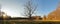Old dead Tree in Autumn Panorama