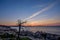 A old dead tree sits at the edge of the pink granite rocks overlooking the Atlantic Ocean on the Maine Coast exposed to all the w