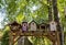 Old decorative bird feeders and wooden birdhouses.