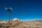 Old desert Farm Windmill