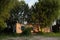 Old destroyed buildings among trees and green grasses. Abandoned buildings. Landscape