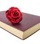 Old diary and rose
