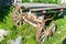 An old dilapidated cart in a rural courtyard.