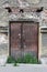 Old dilapidated door overgrown with grass