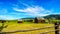 Old dilapidated farm buildings in the Lower Nicola Valley near Merritt British Columbia