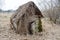 An old, dilapidated little wooden abandoned ruined rustling broken house of beams, logs and sticks overgrown with moss and plants