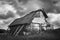 Old dilapidated shacks in the mountains of the Asiago plateau. Enego, Vicenza, Italy