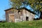 Old dilapidated wooden barn with small grey and white cat sitting in one opening surrounded with uncut grass and large tree