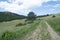 Old dirt road on the Wyoming prairie