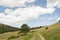 Old dirt road on the Wyoming prairie