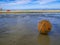 Old and Dirty Buoy Ball on the Beach in vacation time