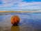 Old and Dirty Buoy Ball on the Beach in vacation time