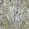 Old dirty concrete wall - seamless texture