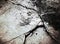 Old dirty cracked concrete floor