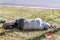 Old dirty drunk or drug addict barefoot homeless or refugee man sleeping on the grass in the street social documentary concept