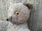 old and dirty soft toy bear on the background of a concrete wall