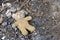 Old dirty teddy bear neglected on the ground soil. End of childhood