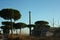 Old disused factory with chimney