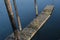 Old Dock at Auke Bay, Alaska