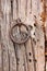Old Door Ring on a Wood Door