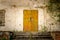 Old doors of an abandoned building with ivy and weeds.