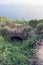 An old drainage canal along the coast.