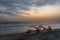 Old driftwood on seashore at sunrise