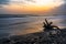 Old driftwood on seashore at sunrise