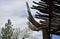 Old & Dry Saguaro Cactus Skeleton canopy