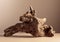 Old dry wooden snag on a beige background