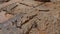 Old dusty floor in carpenters workshop