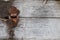 Old dusty rustic hinge on hinge box on grunge texture background. Antique Wooden Chest