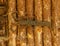 Old dusty rustic weathered iron hinge on wooden door