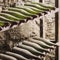 Old dusty wine bottles in cellar - square composition