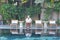 Old elderly senior elder woman resting relaxing at poolside of swimming pool in hotel